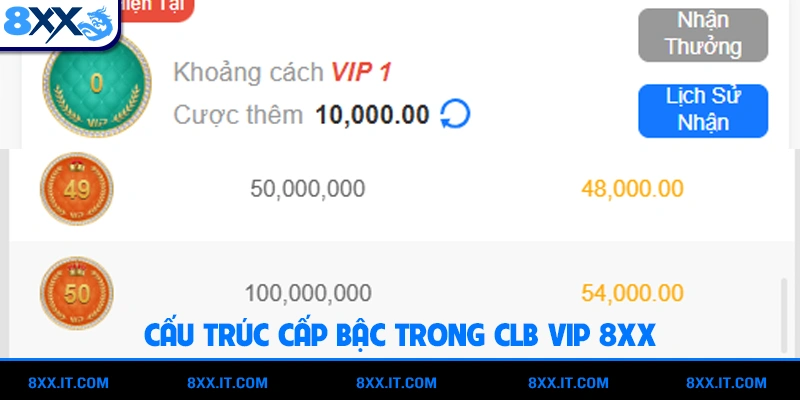 Cấu trúc cấp bậc trong CLB VIP